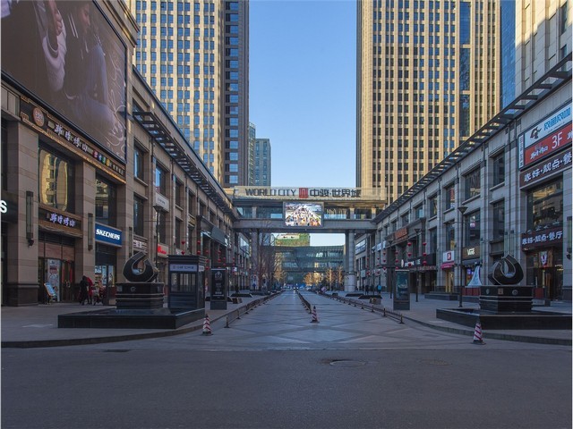 乐山马尼拉草皮基地